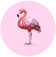 Red Flamingo