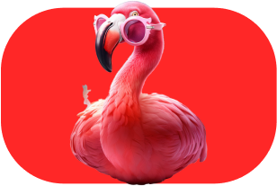 Flamingo with red BG