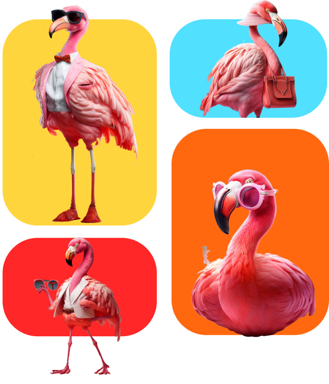 Four Flamingos